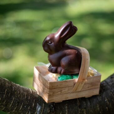 Lapin de Pâques Aux Petites Merveilles